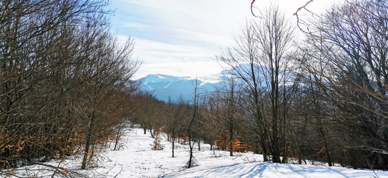 GranChalet sul Cimone I love Montecreto 103 Esterno foto
